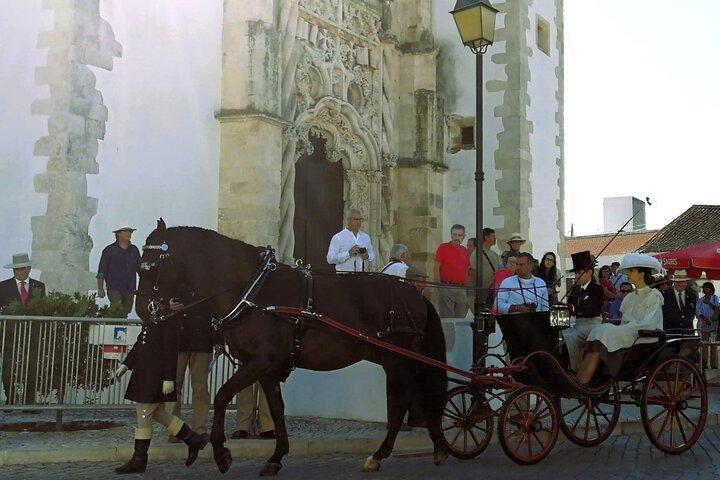 De Lisbonne : Visite privée de la capitale des chevaux lusitaniens