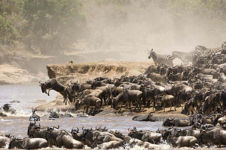 Safari di lusso in lodge a 5 stelle di 7 giorni utilizzando una jeep land cruiser