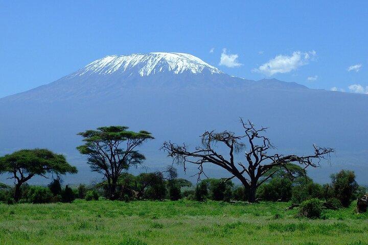 Tagestour zum Amboseli-Nationalpark