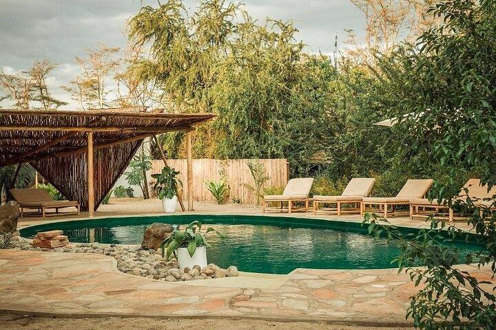 4 - Day Private Luxury Safari : Tarangire, Serengeti och Ngorongoro