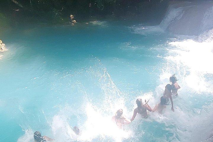 キングストン発、オーチョ・リオスとブルーホールのエコ体験