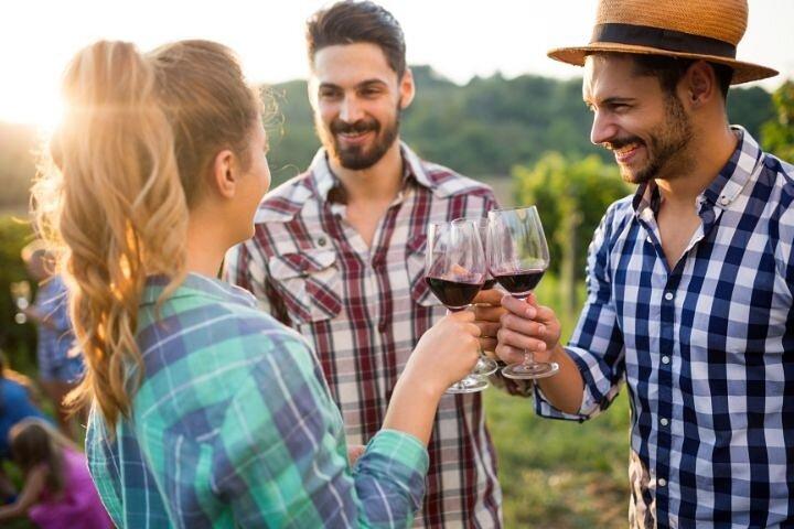 Setúbal, Arrábida e Sesimbra | Excursão exclusiva de vinho privado