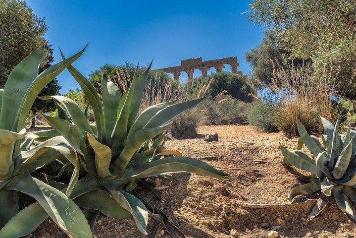 Guided tour to the Valley of the Temples of Agrigento from Cefalù