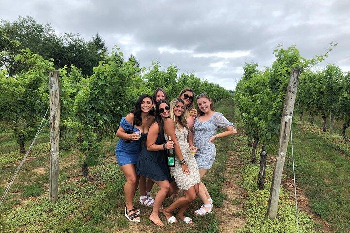 Visites privées d'une journée complète des vins de Long Island au départ de New York