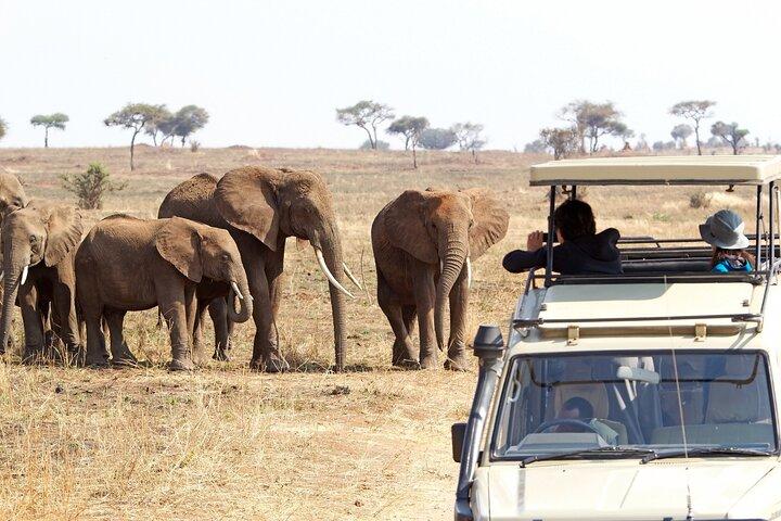7 Days To Witness The Great Migration