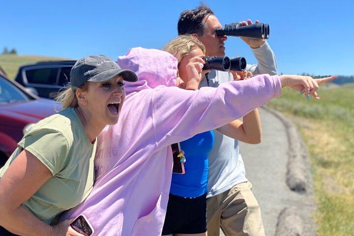 Yellowstone Lower Loop Tour | Wilde dieren en warmwaterbronnen | Privé