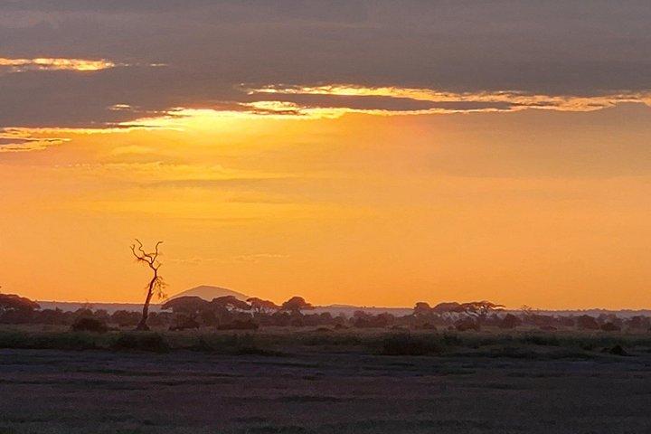 2 Days Amboseli Express Deluxe Private Tours