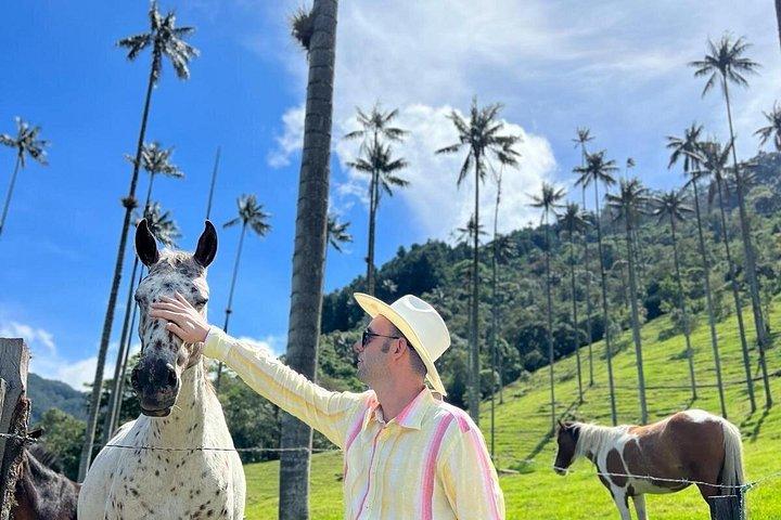 Tour Privado ao Vale Cocora e Salento com Transporte Incluído