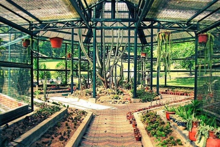 ペナンネイチャーエスケープ：ペナンの丘、植物園＆フェリンギ