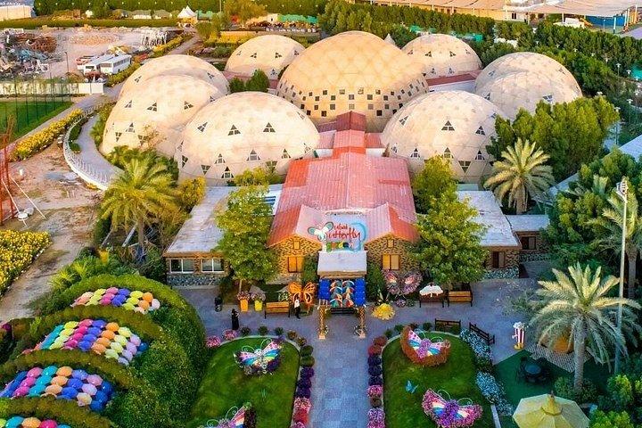 Butterfly Garden Ticket Skip the Line With Transportation