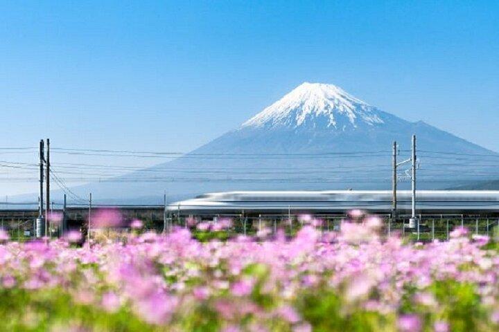 静岡で富士山と日本酒を味わうプライベートショアエクスカーション