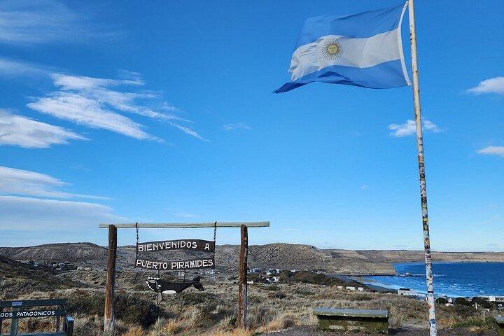 Valdés Peninsula Excursion med valskådning ingår