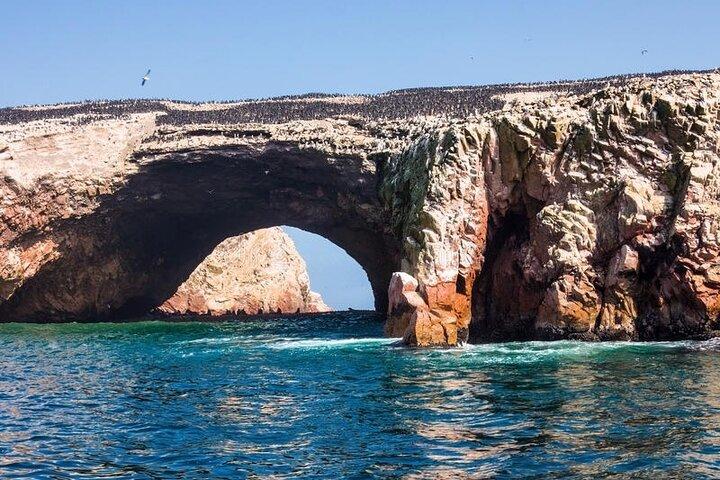 Excursie naar Ballestas-eilanden vanuit Paracas