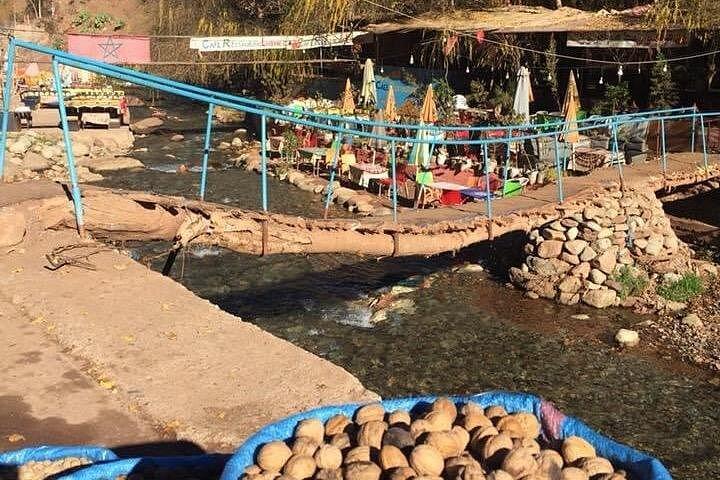 Marrakech: Ourika Valley,Atlas Mountains,waterfall with guide