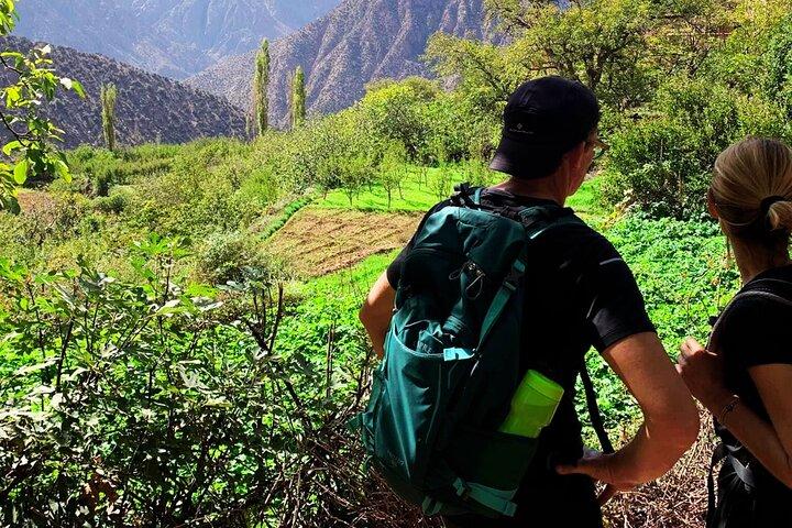 Marrakech: Ourika Valley,Atlas Mountains,waterfall with guide