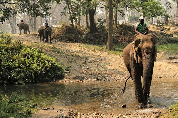 Triangle d'or (visite de Katmandou-Pokhara et Chitwan)