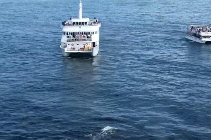 カボ・ホエールウォッチ3段船と壮大なアーチ