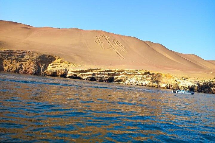 Excursie naar Ballestas-eilanden vanuit Paracas