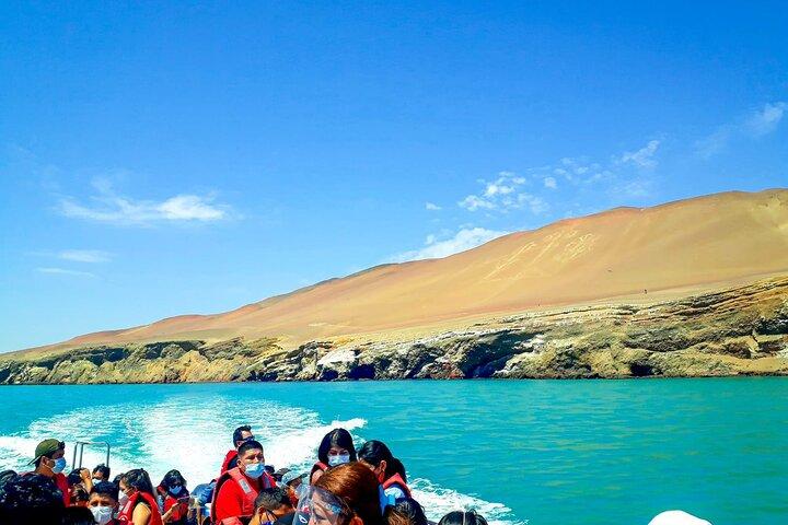 Excursie naar Ballestas-eilanden vanuit Paracas