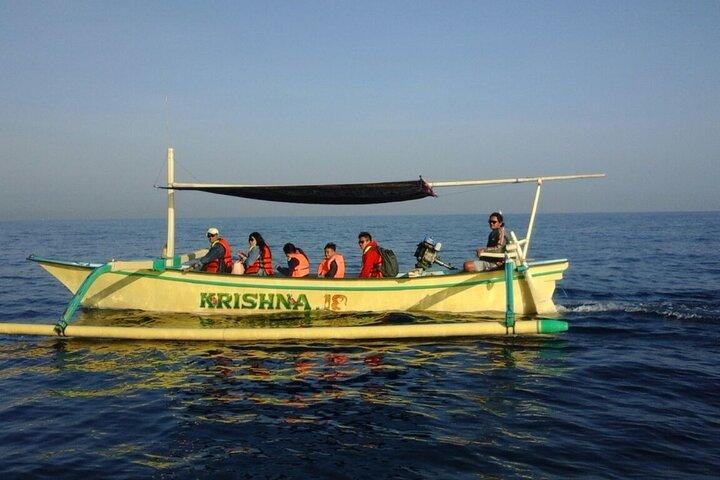 Bali Lovina Dolphin og North Bali Sightseeing - alt inklusive