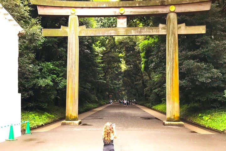 Tokyo Full Course Tour: Explore 15 Must-See Sights & Hidden Gems