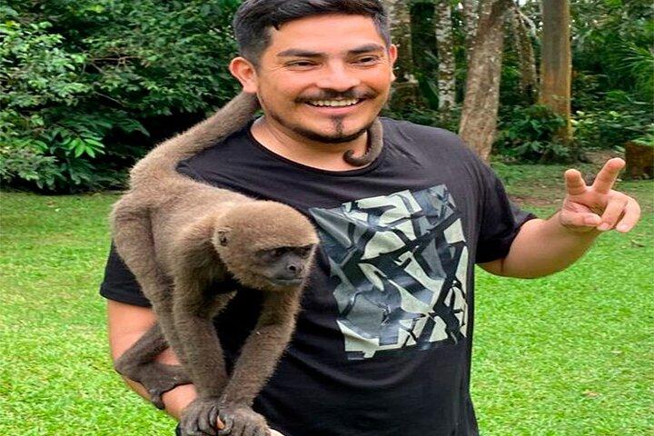 Monkey Island, Amazonfloden, Amazonas solnedgång