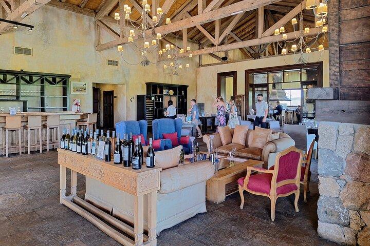 Día de las Bodegas del Valle de Uco con conductor privado