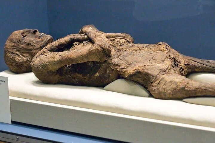 Half-Day Luxor Museum and Mummification Museum