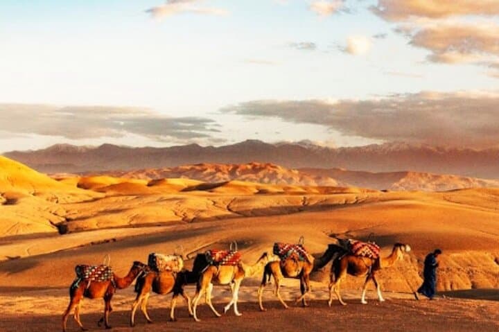 Marrakech: Magical Omnas Desert Dinner with Quad Bike & Camel,