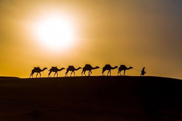 Overnight desert camp experience : camel ride & Sandboarding