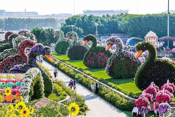 Miracle Garden In Dubai billets avec option de retrait