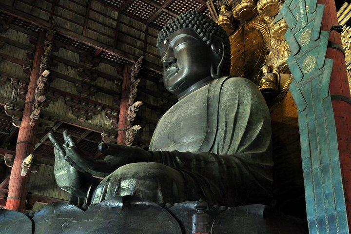 Nara Private Tour : Flexible Abholung von Kyoto, Osaka oder Nara