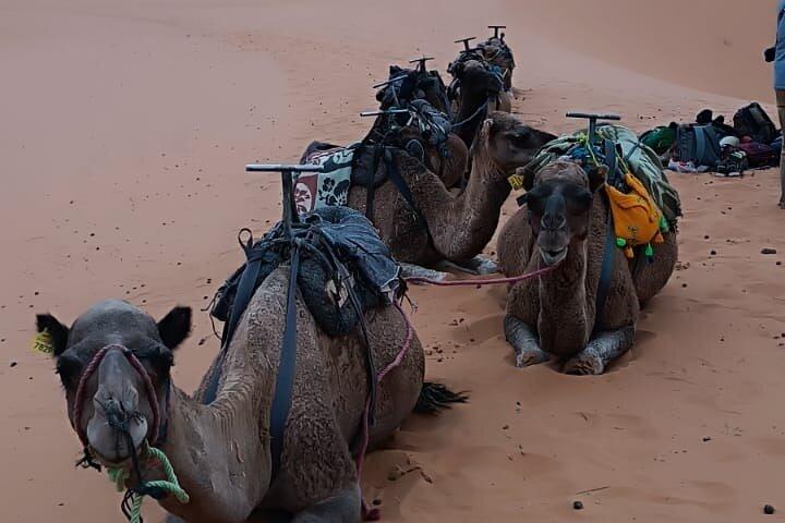 3 dagars lyxig Sahara-tur från Marrakech