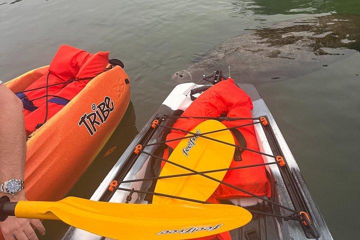 3 Hour Guided Single Kayak Adventure