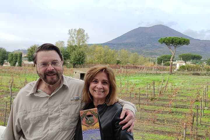 Naples Cruise Port: Pompeii SkipTheLine & Mt Vesuvius Lunch WineTasting Included
