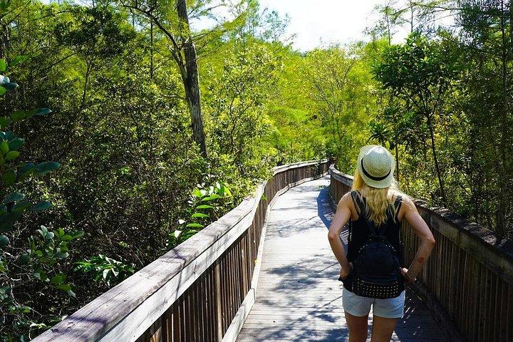 Big Cypress National Preserve Audio Tour Guide