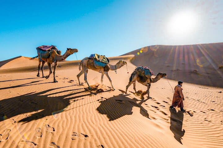 From Marrakech : 3 Days Desert Tour To Fes