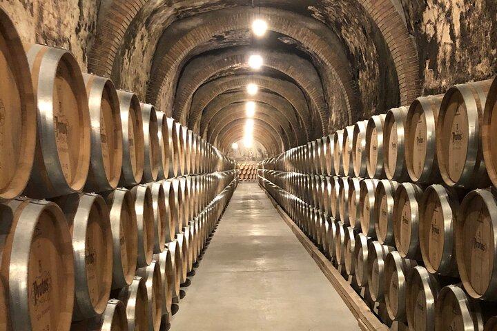 Ribera del Duero Wine Tour de Madrid com 2 vinícolas e degustações