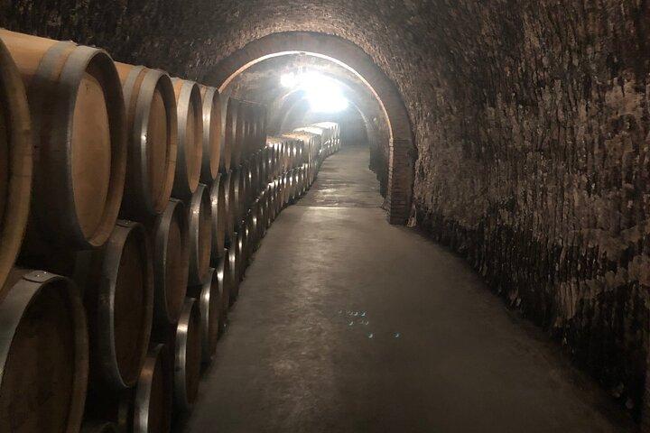 Ribera del Duero Wine Tour de Madrid com 2 vinícolas e degustações
