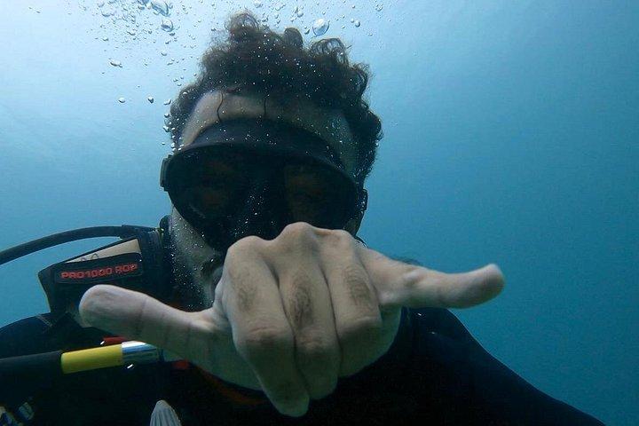 スキューバダイビングマスカット-リーフ、カメ、海洋生物