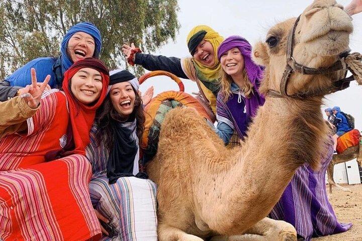 Private Quad Biking Safari In The Palm Grove Of Marrakech And Berber Home Tea
