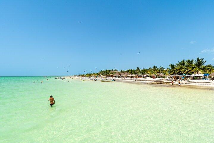 Fuld dag Holbox Island Tour fra Playa del Carmen med frokost