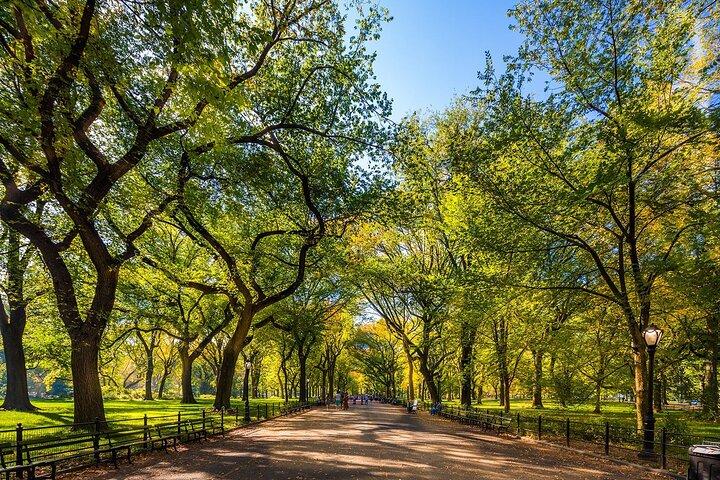 Visita a pie de medio día a la ciudad de Nueva York con el Museo Metropolitano