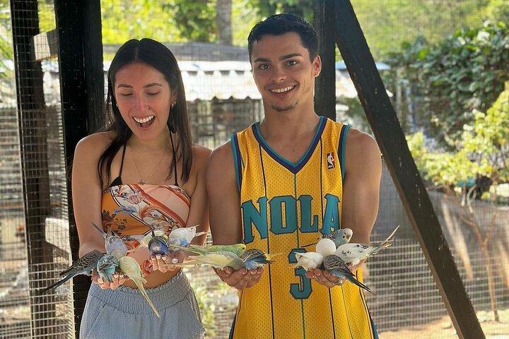Montego Bay: Bamboo Rafting & Massage