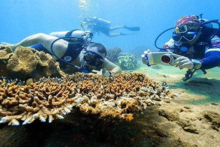 Fra Da Nang: Snorkel- og øhoptur med speedbåd