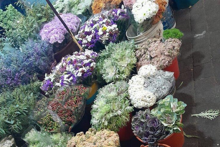 Mexico City Vegan & Veggie Market Explorer plus Cooking Lesson
