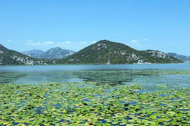 ヘルツェグ ノヴィからのスカダル湖の日帰り旅行