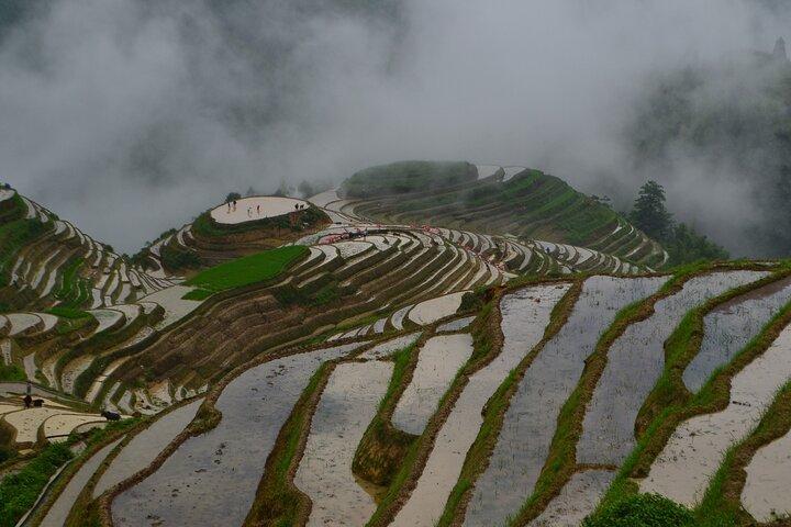 Guilin: Longji Rice Terraces Full-Day Tour with Village Walks