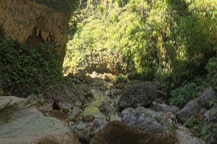 Cebu chasing waterfalls, whalesharks, sardines & turtles
