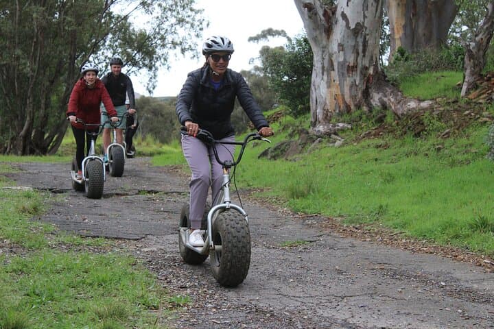 Gravity Scooter and Urban Safari on Table Mountain